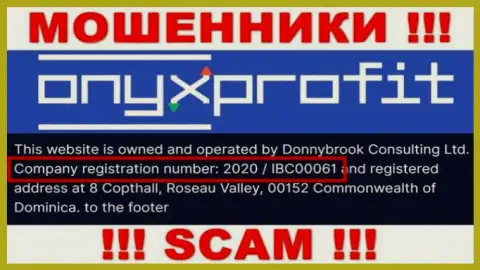 Номер регистрации, который присвоен организации Donnybrook Consulting Ltd - 2020 / IBC00061