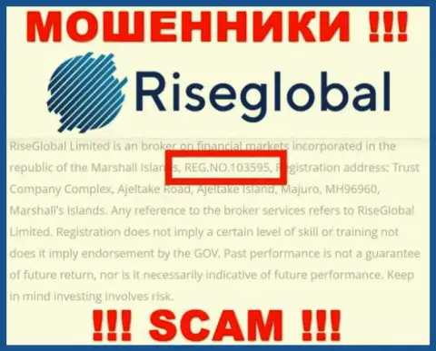 Номер регистрации RiseGlobal Us, который воры предоставили на своей веб-странице: 103595