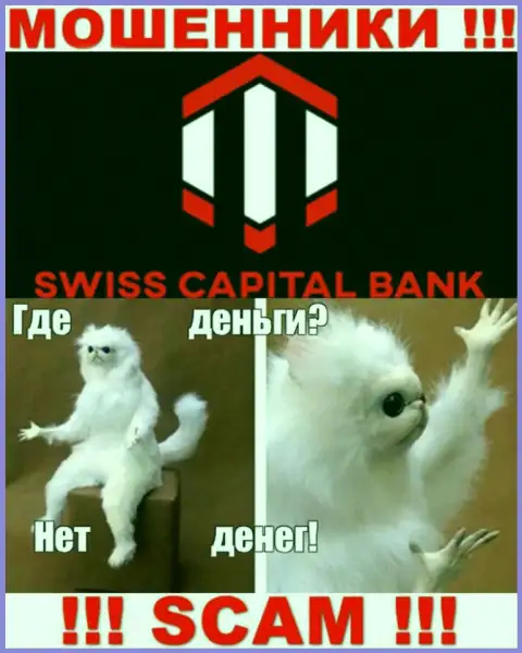Если вдруг ждете доход от сотрудничества с дилером Swiss CapitalBank, то зря, указанные мошенники облапошат и Вас