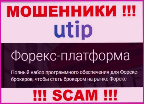UTIP Org - это обманщики !!! Направление деятельности которых - Forex