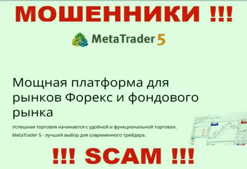 Довольно-таки рискованно взаимодействовать с мошенниками Meta Trader 5, направление деятельности которых Торговая платформа