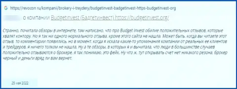 Создатель комментария сообщает, что Budget Invest - это МОШЕННИКИ !!! Сотрудничать с которыми не стоит