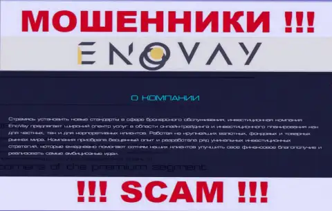 Поскольку деятельность интернет махинаторов EnoVay Info - это сплошной обман, лучше совместной работы с ними избежать