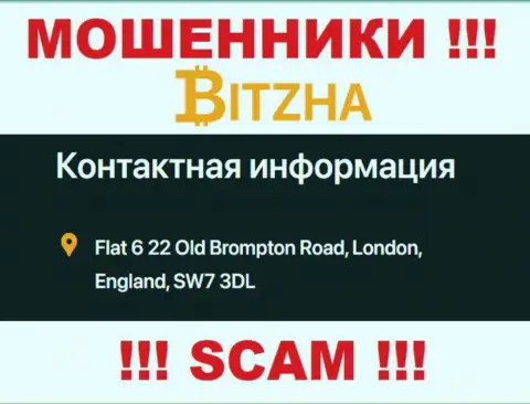 Верить сведениям, что Bitzha предоставили у себя на web-ресурсе, на счет адреса регистрации, не нужно