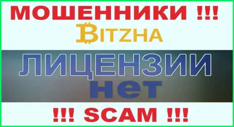 Мошенникам Bitzha не выдали лицензию на осуществление деятельности - сливают финансовые средства