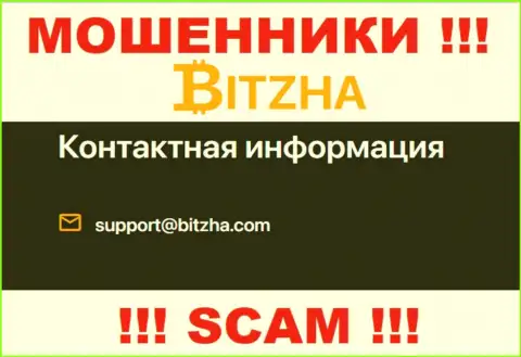Электронный адрес мошенников Bitzha24 Com, информация с официального сервиса