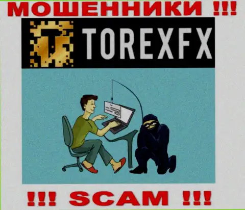 Махинаторы TorexFX Com могут постараться развести Вас на денежные средства, только имейте в виду это крайне опасно