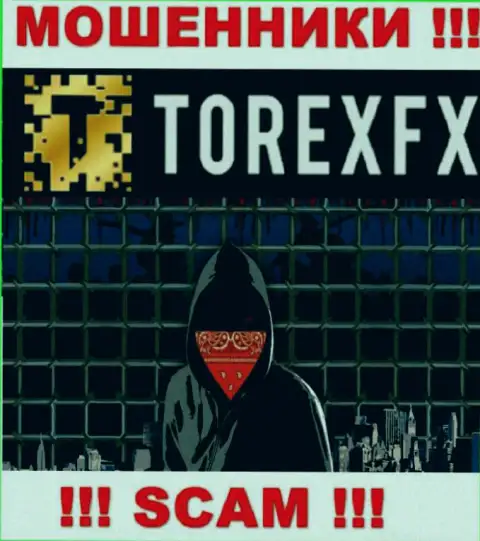 Torex FX не разглашают инфу о руководителях компании