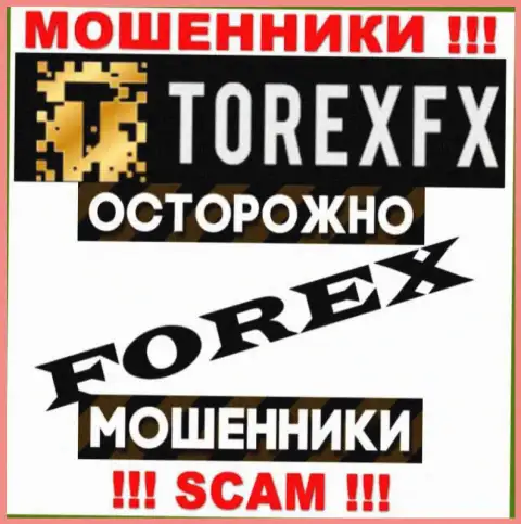 Тип деятельности TorexFX: Форекс - отличный доход для internet-мошенников